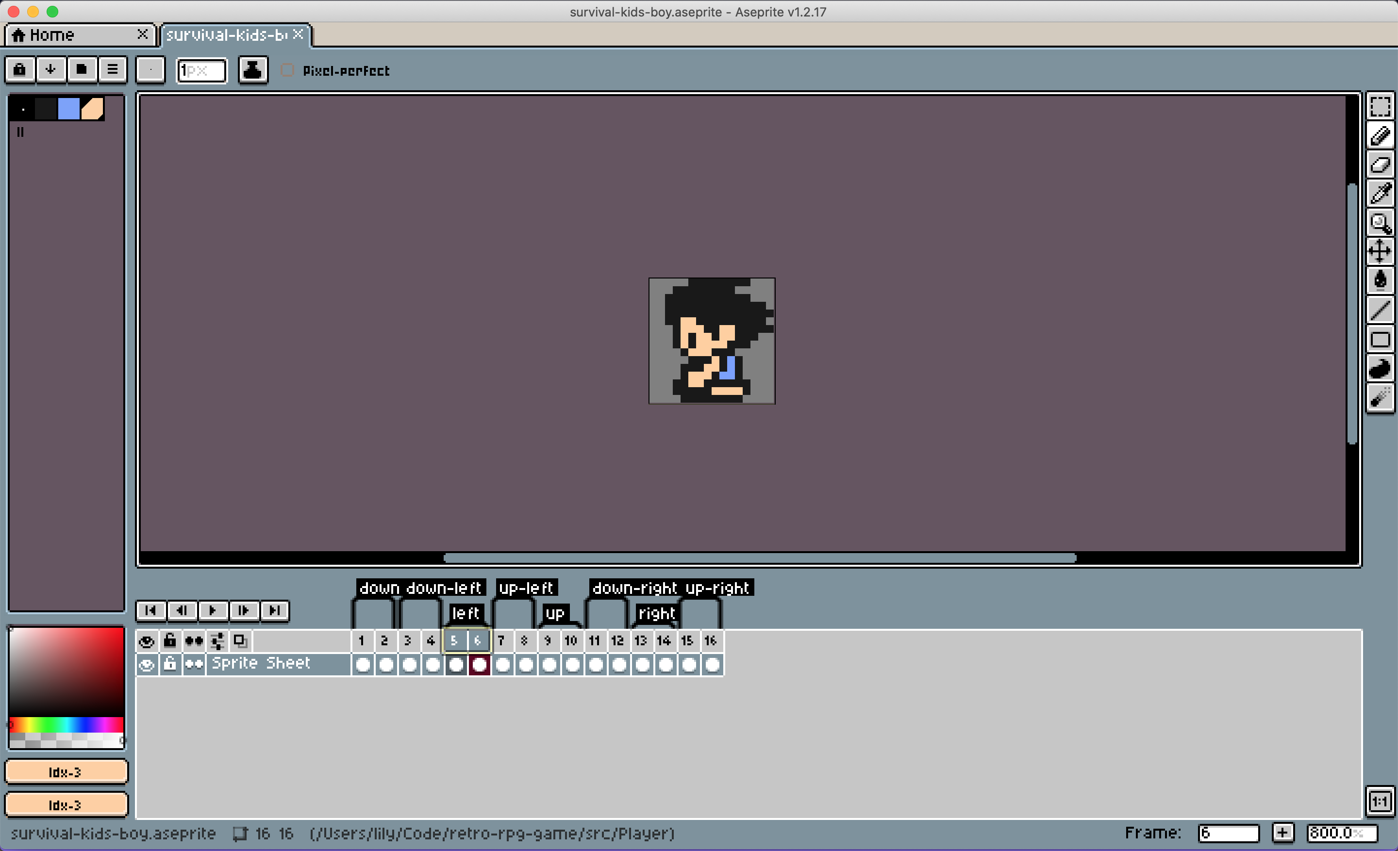 Aseprite screenshot showing frames tagged with names like down, down-left, etc.